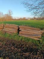 Brandhout Wilg, Tuin en Terras, 3 tot 6 m³, Ophalen, Overige houtsoorten, Stammen