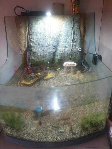 Te koop open aquarium Sera met ledverlichting !! 