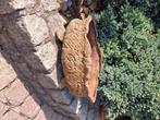 Antieke gietijzeren jardiniere, Ophalen