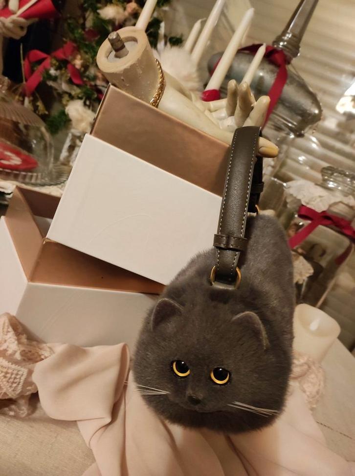 Sac bandoulière chat - état occasion neuf - ou porté main, Bijoux, Sacs & Beauté, Sacs | Sacs Femme, Enlèvement ou Envoi