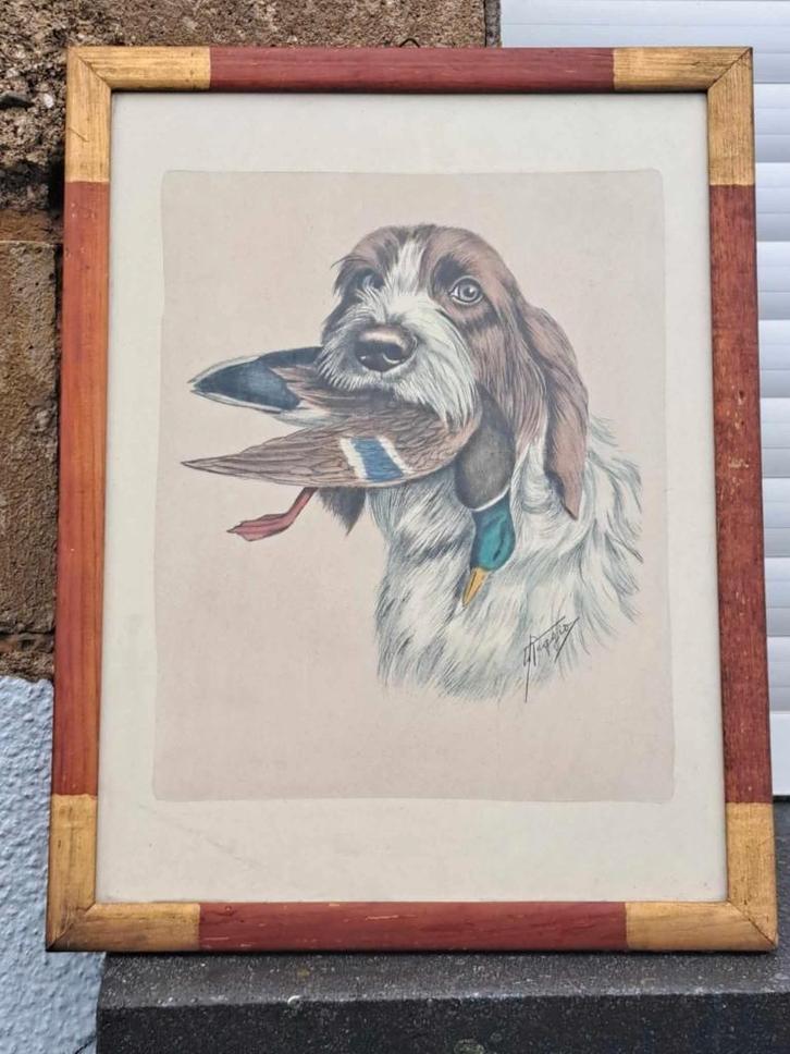 gravure chien de chasse signe reggio, Antiek en Kunst, Kunst | Etsen en Gravures, Ophalen of Verzenden