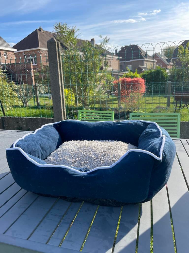 Lit pour chat, Animaux & Accessoires, Enlèvement, Comme neuf