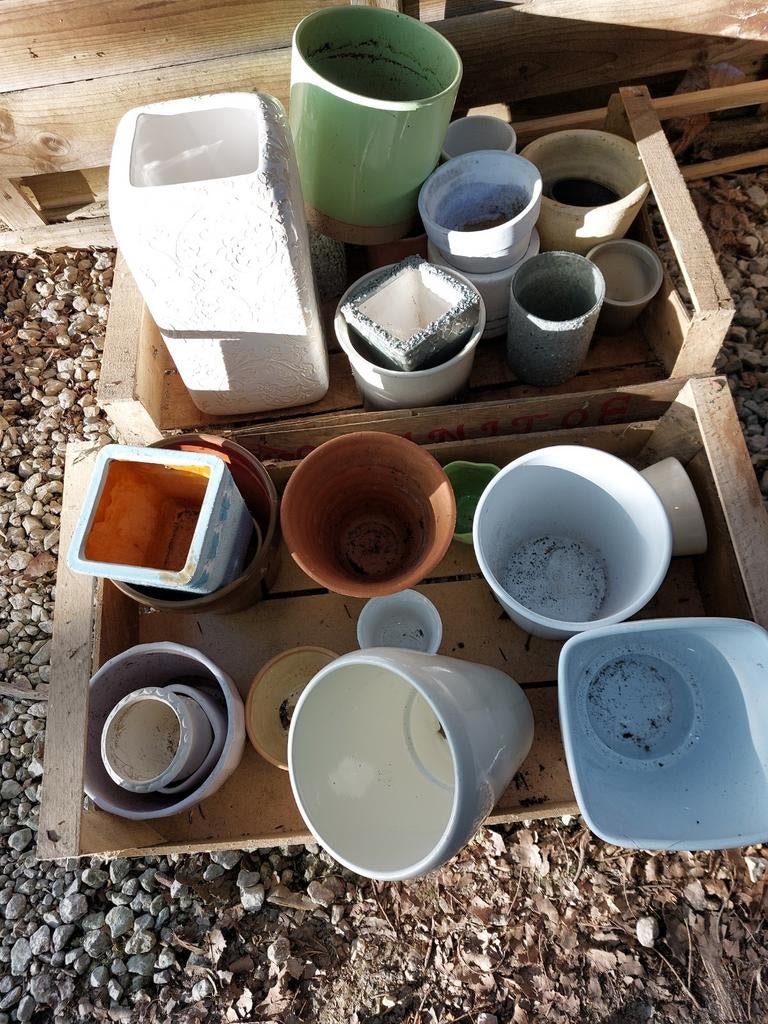 Gratis bloempotten, Tuin en Terras, Ophalen