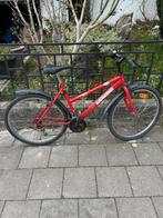 VTT en très bon état, Femmes, 49 à 53 cm, Enlèvement, Utilisé