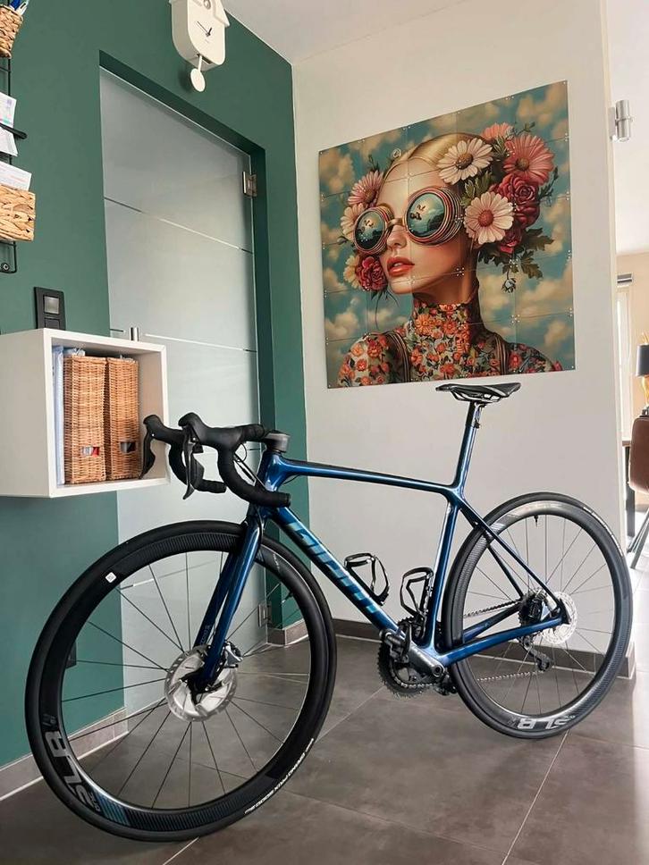 GIANT tcr advanced sl, Vélos & Vélomoteurs, Vélos | Vélos de course, Comme neuf, Hommes, Giant, Plus de 20 vitesses, Carbone, Enlèvement