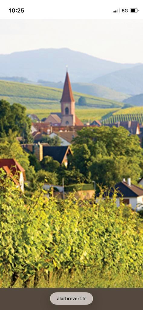 Séjour de 4 nuits en demi pension en Alsace, Vacances, Bed & Breakfasts & Pensions, Village, Montagnes ou collines, Animaux domestiques acceptés