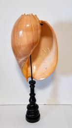 Grote Meloen Schelp/Meloen Schell op standaard., Ophalen of Verzenden, Zo goed als nieuw, Overige soorten, Overige typen