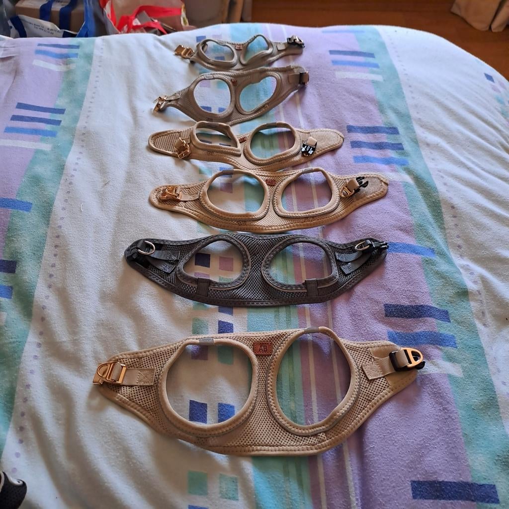 Différents harnais AB, Animaux & Accessoires, Enlèvement