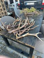 Gewei hert, Antiek en Kunst, Ophalen