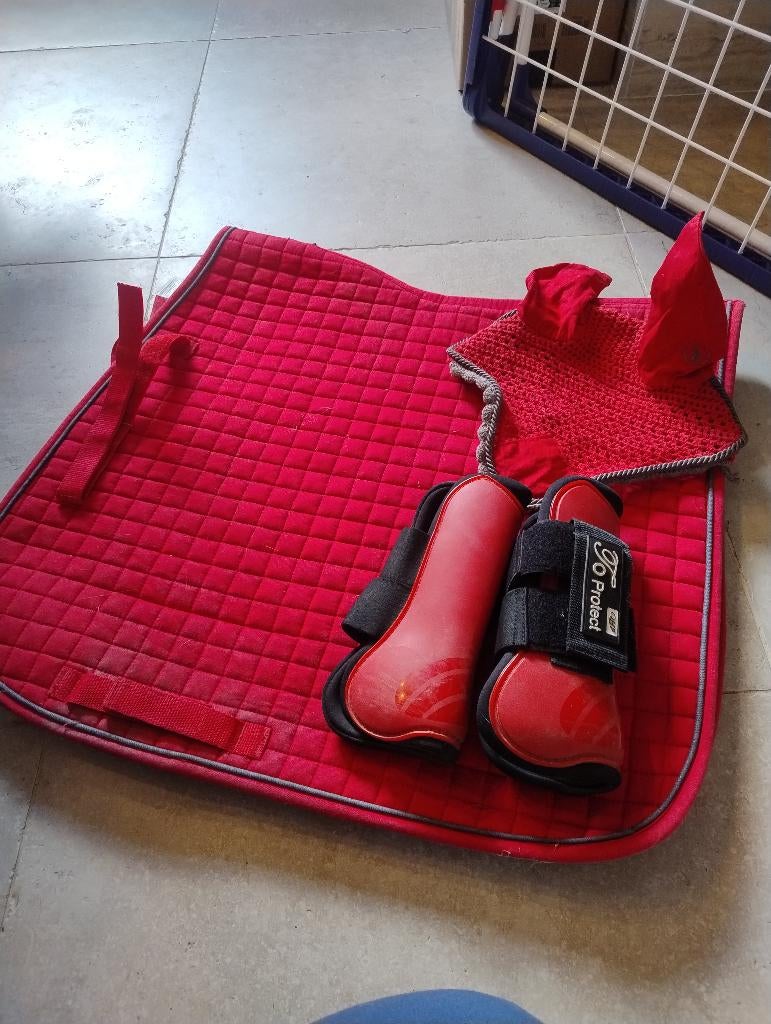 Zadeldoek rood setje peesbeschermers, Ophalen