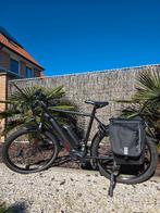 Koga Pace B20 met dubbel accu, Autres marques, 50 km par batterie ou plus, 59 cm ou plus, Enlèvement