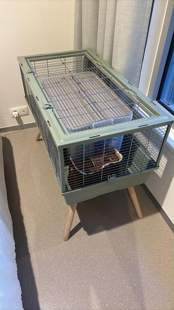 Knaagdieren, Dieren en Toebehoren, Ophalen, Kooi