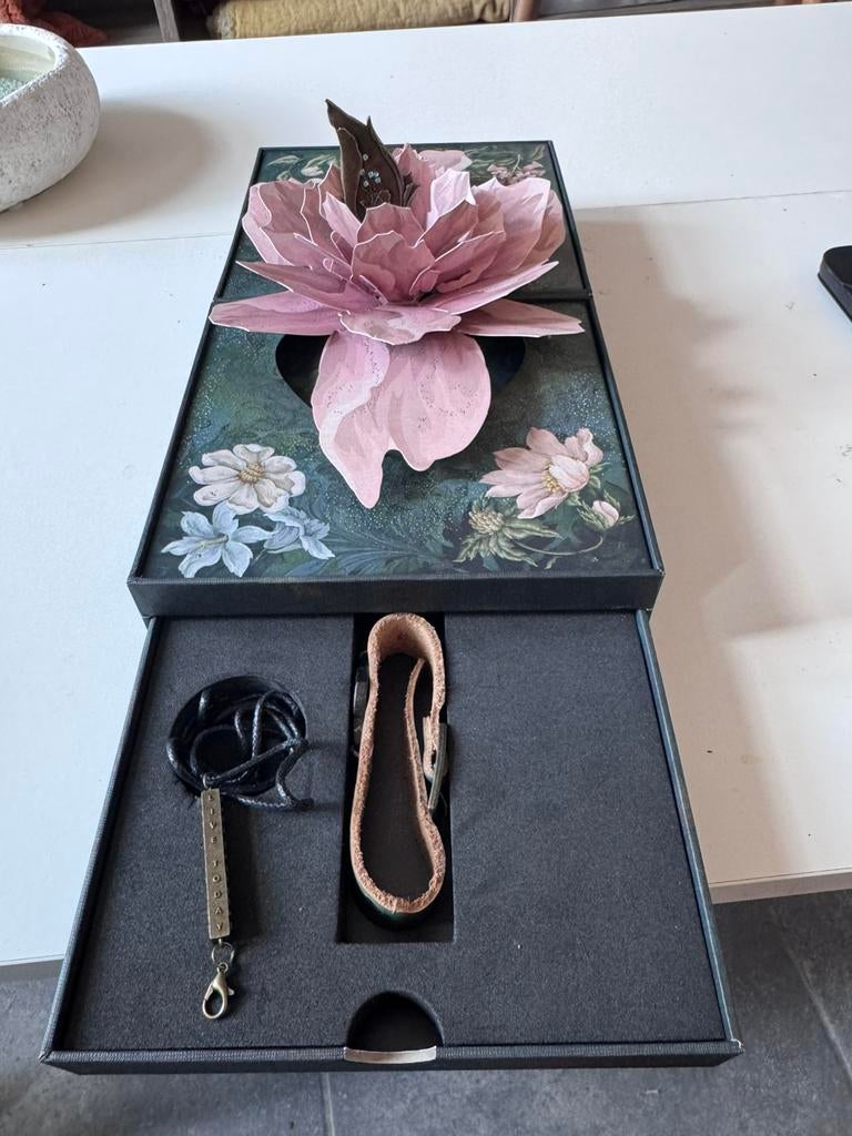 Tomorrowland treasure case 2024, Ophalen