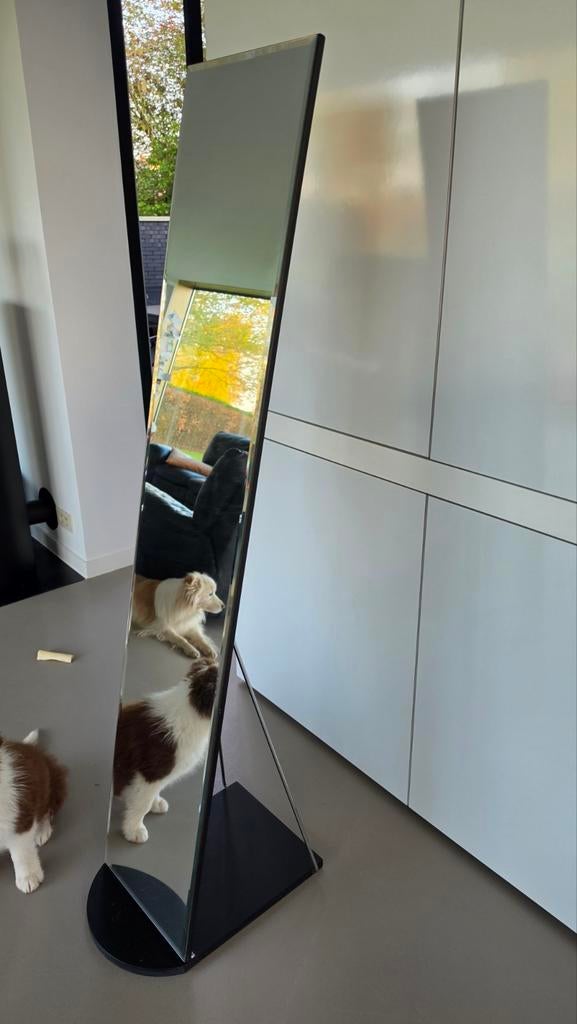 Staande spiegel, Huis en Inrichting, Woonaccessoires | Spiegels, Ophalen