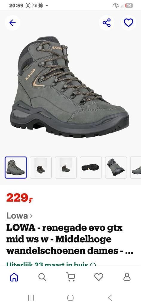 Lowa wandelschoenen maat 40 groen, Ophalen of Verzenden