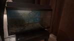 Aquarium, Dieren en Toebehoren, Vissen | Aquaria en Toebehoren, Ophalen, Zo goed als nieuw