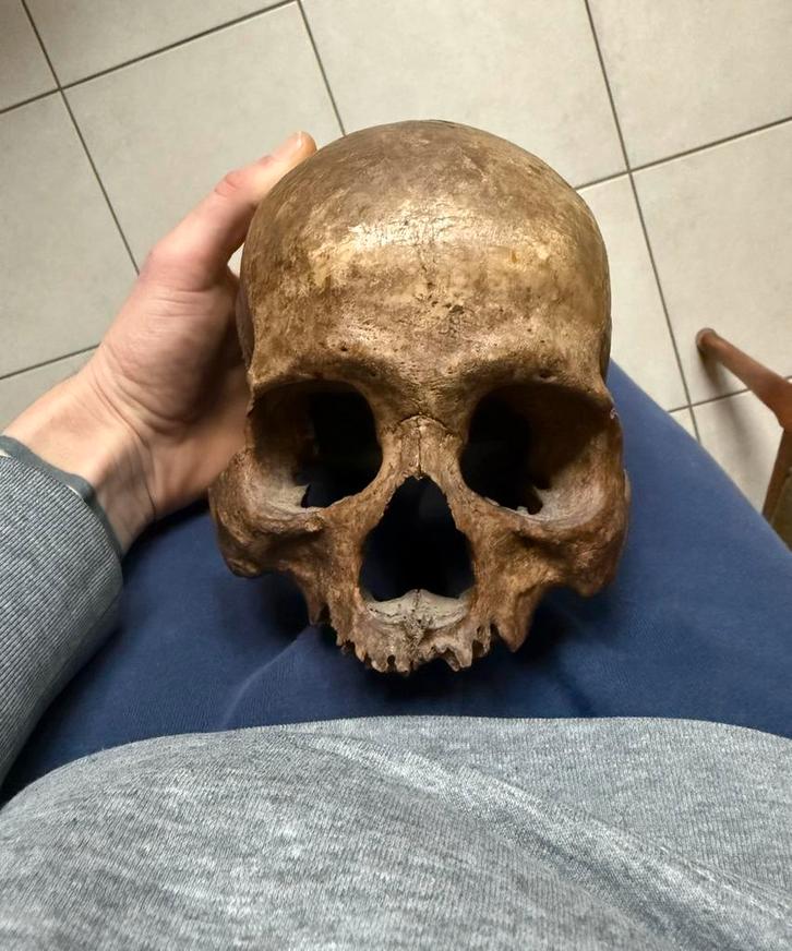 Dayak, Kayan, Authentic Head et Faster., Vêtements | Hommes, Costumes de carnaval & Vêtements de fête, Comme neuf, Enlèvement ou Envoi