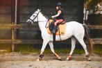 10 jarige kinderpony merrie 1m40, Dieren en Toebehoren, Pony's, Merrie, 7 tot 10 jaar, Recreatiepony, D pony (1.37m tot 1.48m)