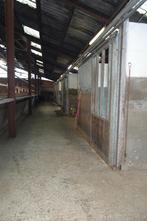 1 stal vrij te Wolfsdonk, Dieren en Toebehoren, Stalling en Weidegang, Weidegang, 1 paard of pony