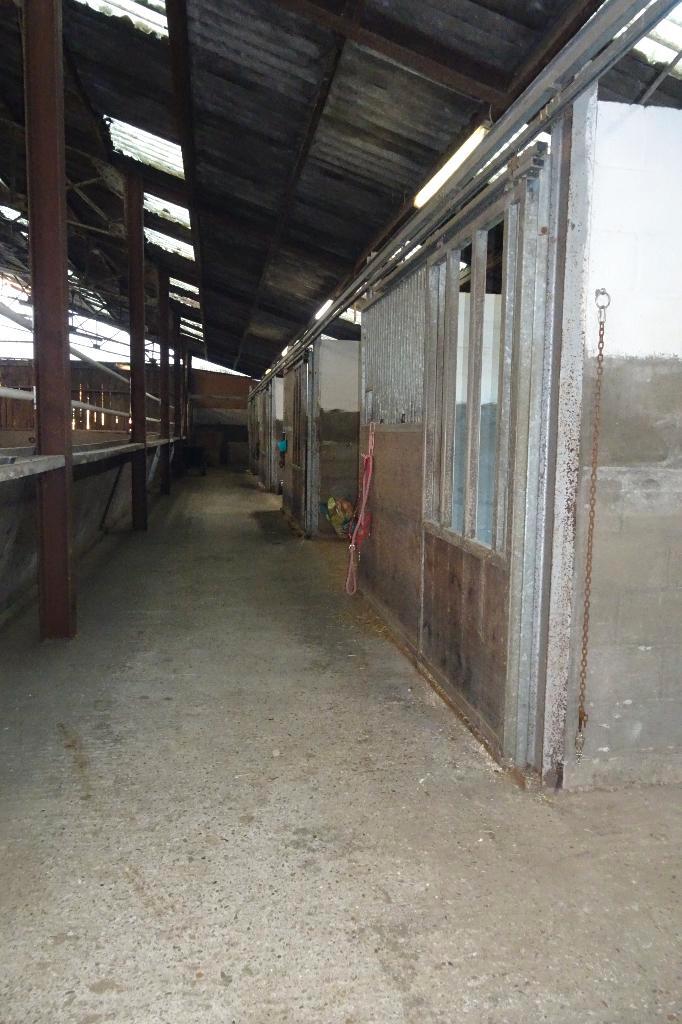 1 stal vrij te Wolfsdonk, Dieren en Toebehoren, Stalling en Weidegang, Stalling, Weidegang, 1 paard of pony