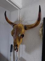 Tête de taureau, Collections, Collections Animaux, Enlèvement