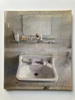 Antonio Lopez (Europalia 85 Espana), Enlèvement