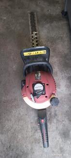 Heggen Schaar, Enlèvement