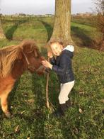 Pony ruin, Dieren en Toebehoren, Pony's, Gechipt, Ruin, Zadelmak, A pony (tot 1.17m)