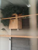 Schamalijsters koppel, Dieren en Toebehoren