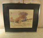 Mooi Geschilderd Aquarel 'Boomstronken' - Verheyden, Antiek en Kunst, Ophalen of Verzenden