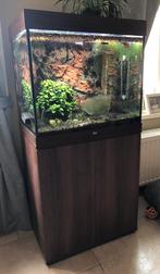 Aquarium Juwel met vissen, Ophalen, Gebruikt, Gevuld zoetwateraquarium