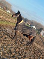 Halve stal aangeboden, Dieren en Toebehoren