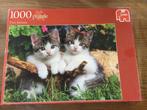Puzzel Jumbo 1000 stukjes Two kittens, Ophalen of Verzenden, 500 t/m 1500 stukjes, Gebruikt, Legpuzzel