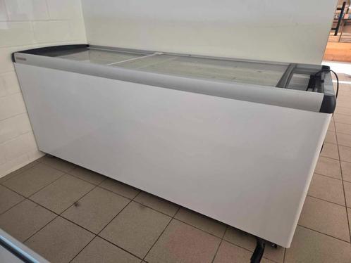 Diepvries Liebherr ijsconservator EFE 6052, Elektronische apparatuur, Vriezers en Diepvrieskisten, Zo goed als nieuw, Vrijstaand