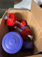 Fitness Banc + set dumbles + aide push up + pull up bar, Sport en Fitness, Ophalen, Zo goed als nieuw
