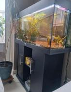 Aquarium van 1 meter op 40 cm en 54 cm, Dieren en Toebehoren, Ophalen, Zo goed als nieuw
