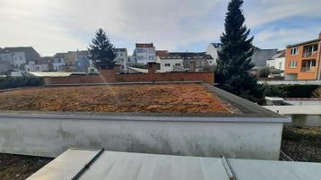 Gratis groendak, 15 m² ou plus, Isolation de toiture, 8 à 12 cm, Enlèvement