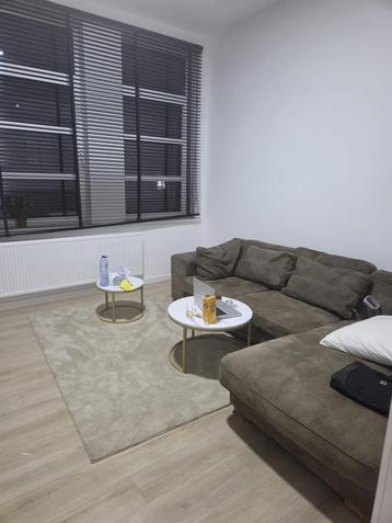 Kamer te huur ( voor 1 persoon), Immo, 50 m² of meer, Antwerpen (stad)