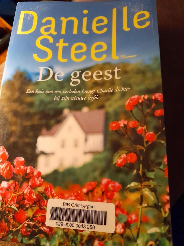 Danielle Steel - De geest, Boeken, Romans, Zo goed als nieuw, Ophalen of Verzenden
