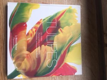 Tulipes, Comme neuf, Fleurs, Plantes et Arbres, Liz Dobbs