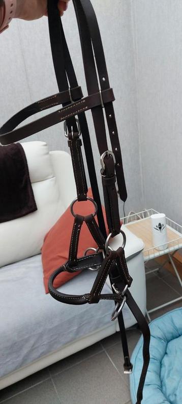 Bitloos hoofdstel maat pony beschikbaar voor biedingen