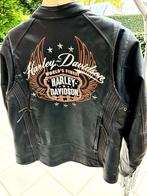 Harley Davidson lederen damesjas en kleding, Motos, Harley davidson, Femmes, Manteau | cuir, Seconde main