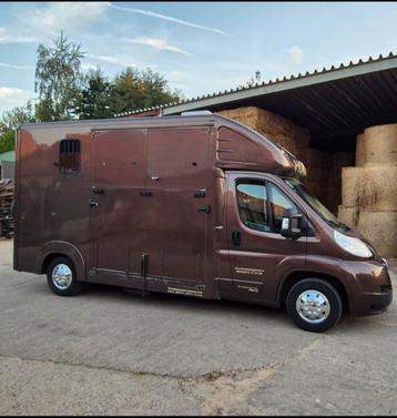 Paarden Taxi, vervoer allerhande, verhuis, transport,... beschikbaar voor biedingen