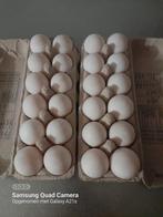 Broedeieren Pekingeenden, Dieren en Toebehoren, Ophalen of Verzenden