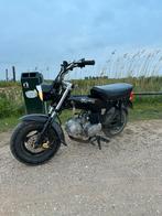 Dax hond, Fietsen en Brommers, Brommers | Honda, Ophalen of Verzenden, Zo goed als nieuw