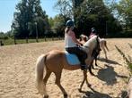 Palomino merrie, Dieren en Toebehoren, Pony's, Merrie