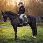 Eerlijke 10jarige merrie & Dressuurtalent & gouden karakter, Animaux & Accessoires, Chevaux, Jument, M