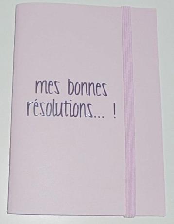 Carnet "Mes bonnes résolutions" Yves Rocher NEUF !