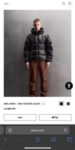 Winterjas ZARA, Ophalen, Zo goed als nieuw, Maat 48/50 (M)