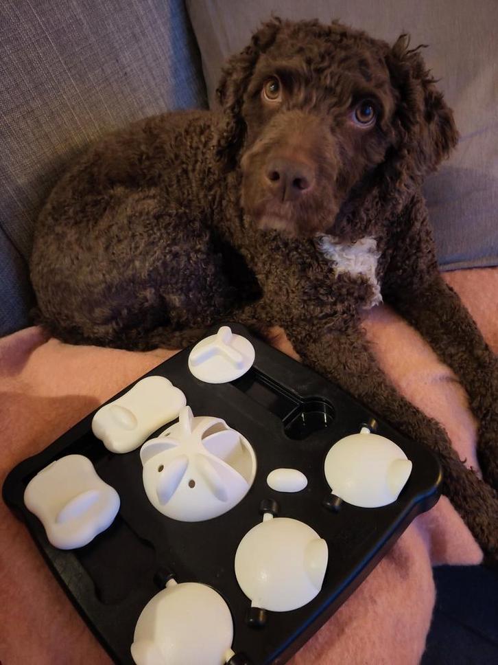 Spel / puzzel voor hond en kat, Animaux & Accessoires, Jouets pour chiens, Enlèvement